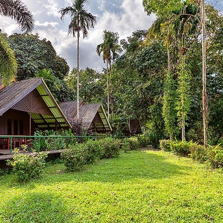 Khao Sok Riverside Cottages Khao Sok National Park Esterno foto