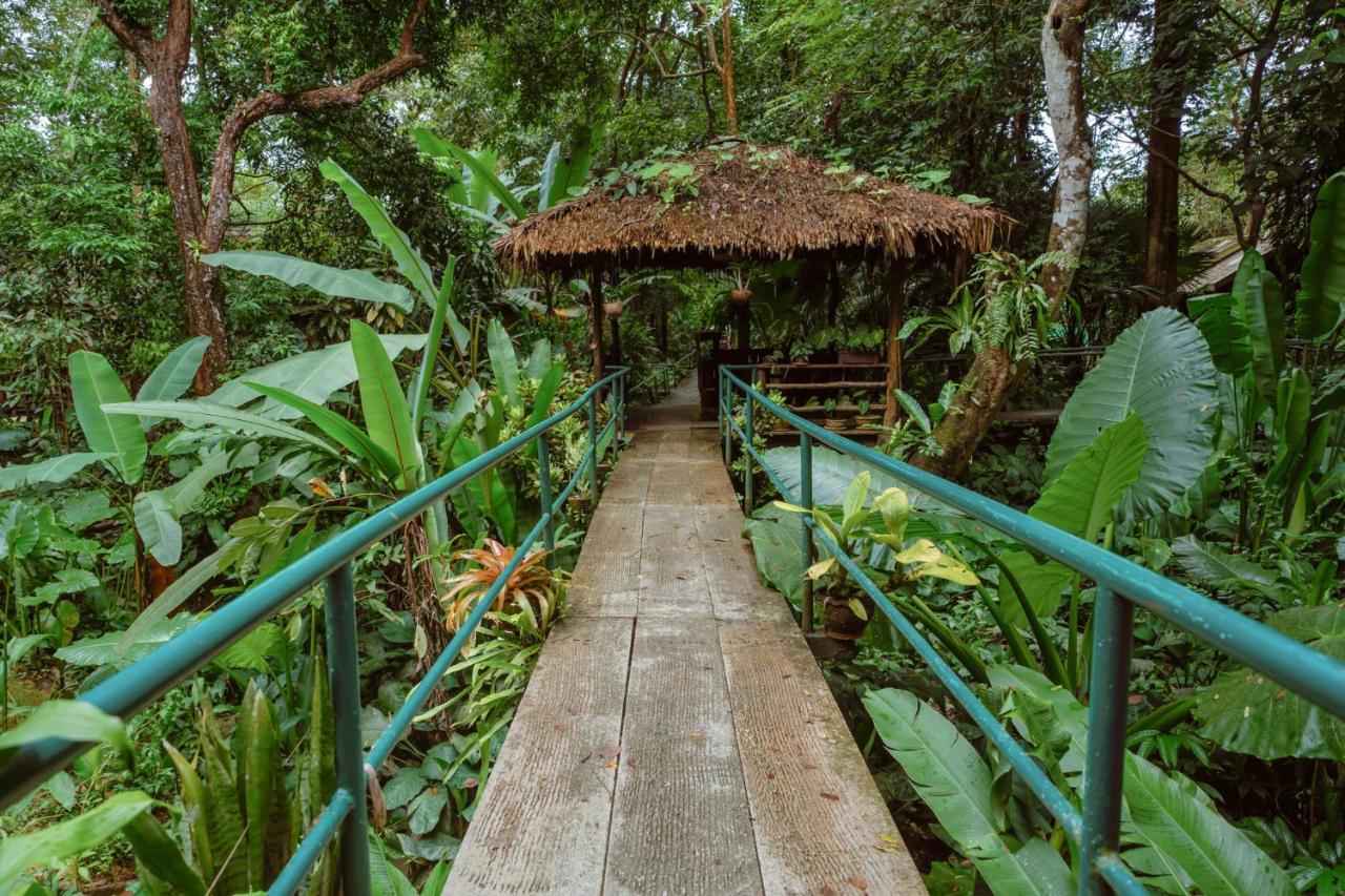 Khao Sok Riverside Cottages Khao Sok National Park Esterno foto