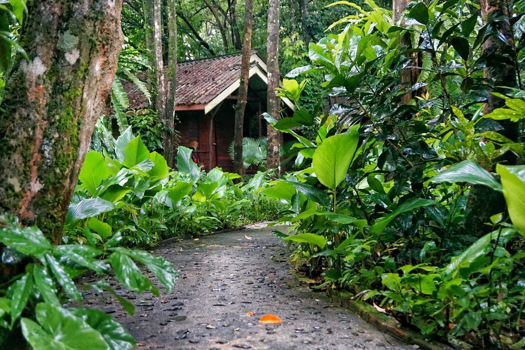 Khao Sok Riverside Cottages Khao Sok National Park Esterno foto