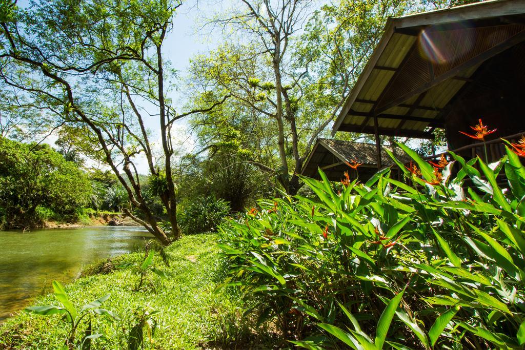 Khao Sok Riverside Cottages Khao Sok National Park Esterno foto