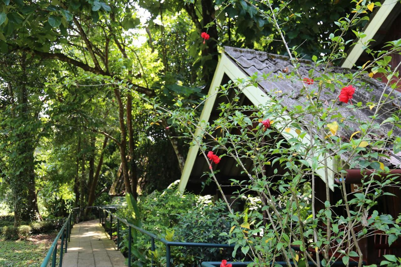 Khao Sok Riverside Cottages Khao Sok National Park Esterno foto
